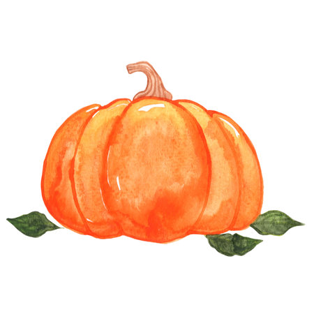 Pumpkin with green leaves watercolor illustration for decoration on Autumn, Halloween and farm agriculture.の写真素材