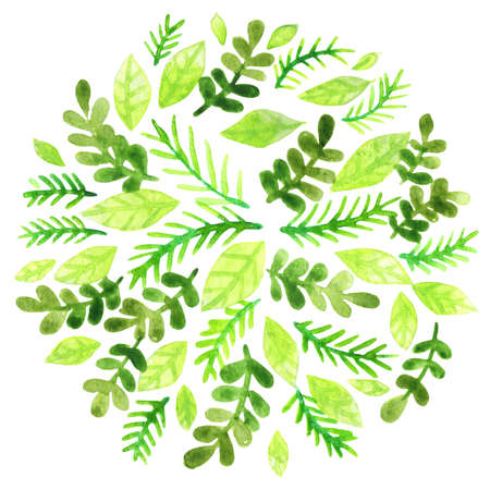 pine leaves, fern and green leaves watercolor wreath for decoration on nature and organic life style.の写真素材