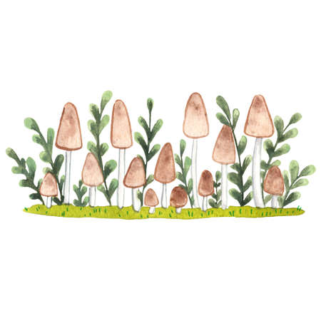 Honey fungus with fern on grass floor border watercolor illustration for decoration on organic food and farm lifestyle.の写真素材