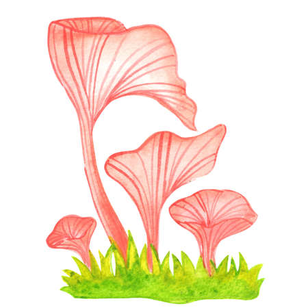 Pink oyster fungus on grass with leaves watercolor illustration for decoration on mythical plant and forest.の写真素材