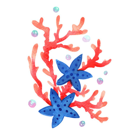 Starfish, coral with pearl bouquet for decoration on summer Christmas holiday.の写真素材