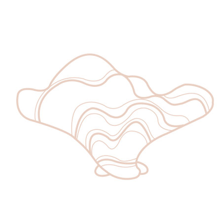 Seashell doodle illustration for decoration on marine life ,summer holiday and coastal concept.のイラスト素材