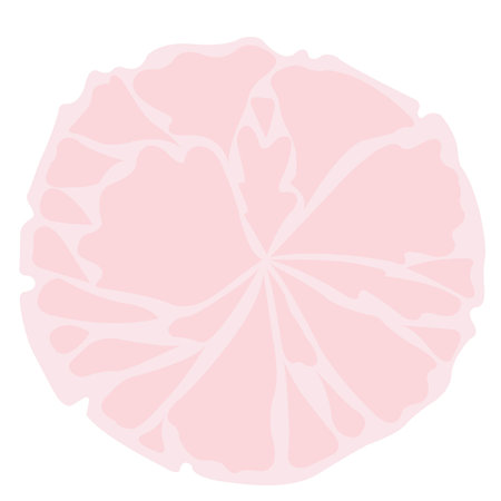 Flower petals mandalas banner for decoration on foliage and nature concept.のイラスト素材