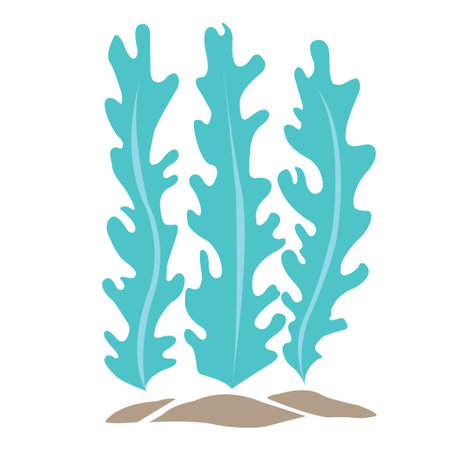 Seaweed, coral and sea grass flat design vector for decoration on Aquatic palnt.のイラスト素材