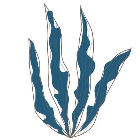 Tropical leaf, monstera, palm leaf, coconut leaf illustration for tropical forest and summer garden style.のイラスト素材