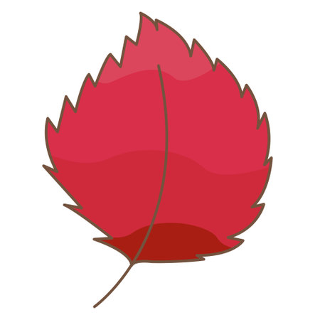 Red leaf illustration vector for decoration on nature and Autumn seasonal concept.のイラスト素材