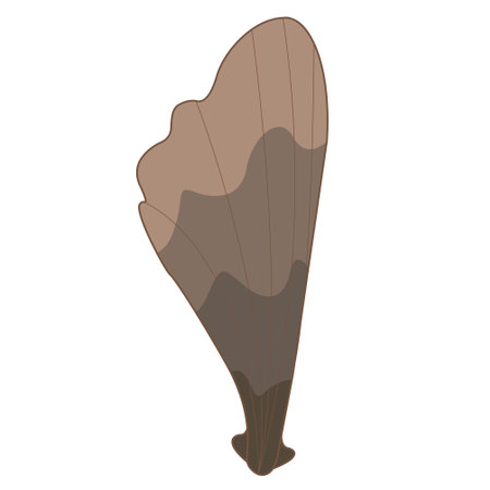 Seashell sign vector illustration for decoration on marine life, summer holiday and coastal living style concept.のイラスト素材