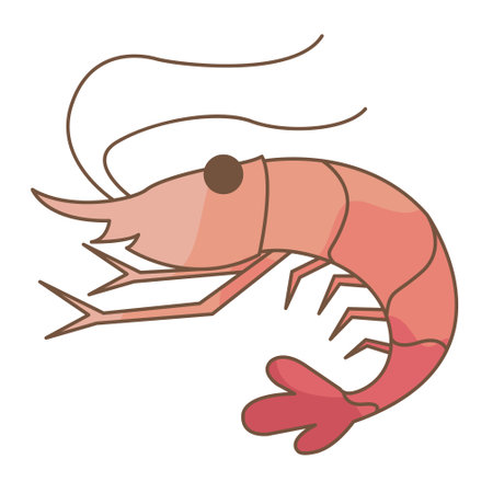 shrimp, prawn vector illustration for decoration on marine life and seafood concept.のイラスト素材