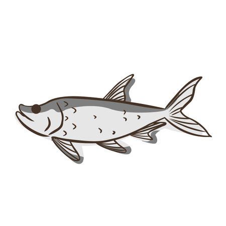 Abstract doodle Tarpon fish sign illustration for decoration on marine life, aquarium, fishing and nautical concept.のイラスト素材