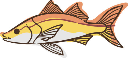 Abstract snook fish doodle sign illustration for decoration on marine life, aquarium, fishing and nautical concept.のイラスト素材