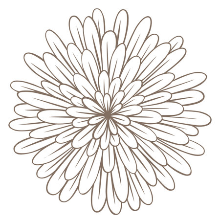 Abstract doodle mandalas illustration for decoration on nature and floral concept.のイラスト素材