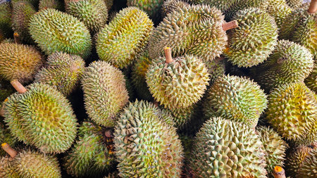 Durians king of fruit background for sale in fruit shop market.