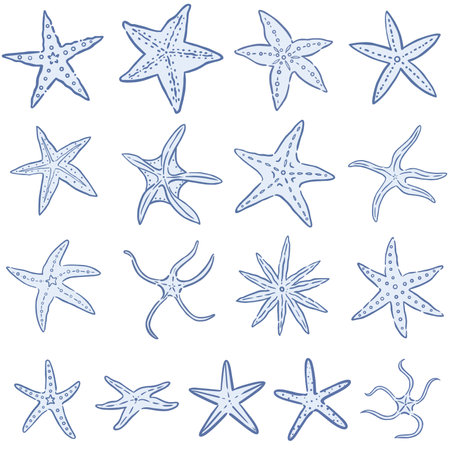 Starfish doodle illustration for decoration on summer, marine life, aquarium and ocean concept.のイラスト素材