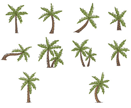 Abstract coconut tree hand drawing line for decoration on tropical beach, summer vacation and island concept.のイラスト素材