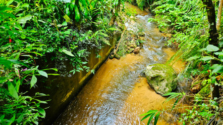Stream form waterfall flowing in village, tree, fern ,moss at the rain forest landscape.の写真素材
