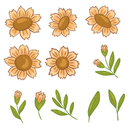Yellow daisy flowers with leaves for decoration on summer seasonal and nature concept.のイラスト素材