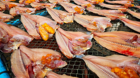 drying fish by sunshine on net for Food preservation by local pepople in fishermen village.