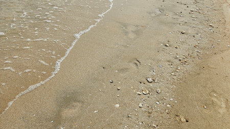 Sea water wave and sand beach with seashell background for decoration on summer holiday and coastal...