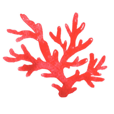 Red coral watercolor illustration for marine life, aquarium, ocean and summer holiday concept.の写真素材