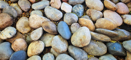 Minimalist Zen garden background featuring various shapes and colors of natural stones.
