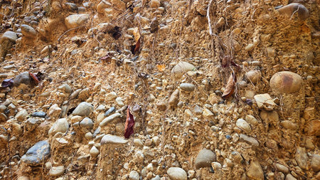 Rough Surface Natural Sandstone Texture Background with Organic Earth Tones.