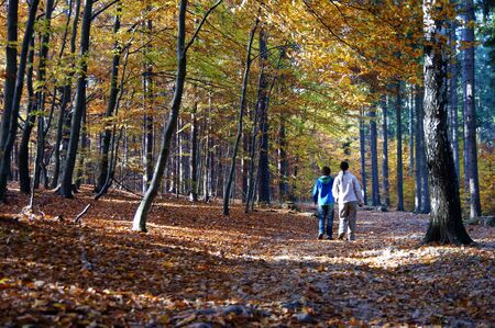 A woman and her child for a walk in an autumnal forest.の写真素材