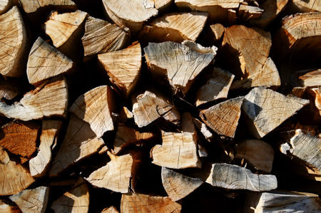 Wood - The fuel of the future.