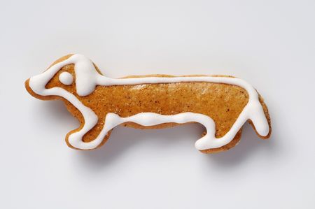 Gingerbread cookie in the shape of a dogの写真素材