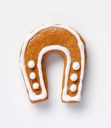 Gingerbread cookie in the shape of a horseshoeの写真素材