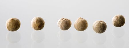 White peppercorns in line - detail
の写真素材