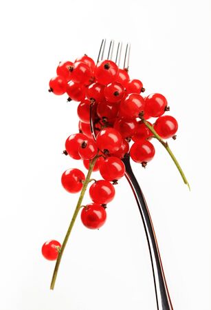 Bunch of red currant berries on a forkの写真素材