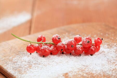 Sprig of red currant in powdered sugarの写真素材