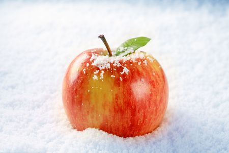 Fresh red apple in snow の写真素材