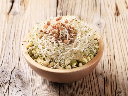 Bowl of mung beans and lentil sproutsの写真素材