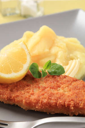Fried fish fillet and mashed potato - detailの写真素材