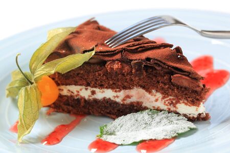 Delicious chocolate cake sprinkled with cocoa powder 