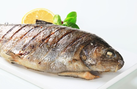 Studio shot of grilled troutの写真素材