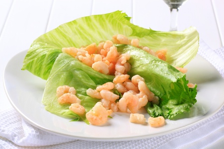 Cooked shrimps on lettuce leavesの写真素材