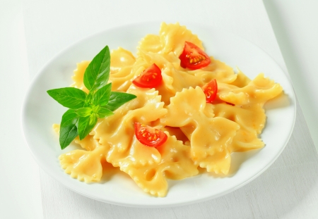 Bow tie pasta with cream sauce and tomatoの写真素材