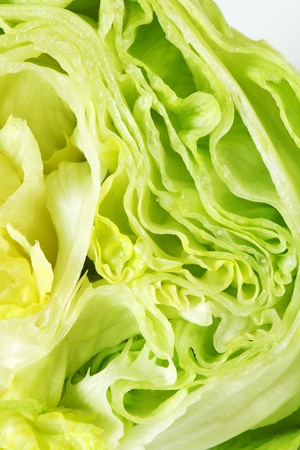 Cross section of ice lettuceの写真素材