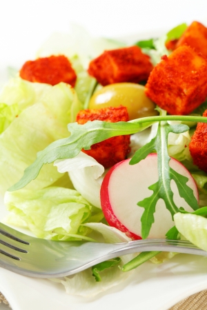 Fresh vegetable salad with diced paprika-coated cheese の写真素材