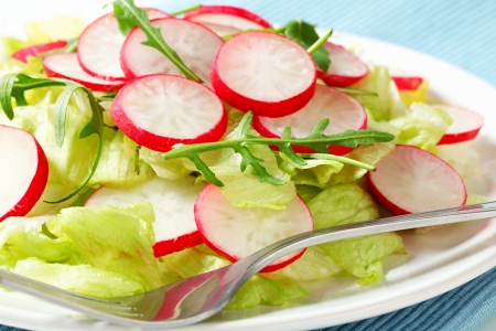 Green salad with sliced radishの写真素材