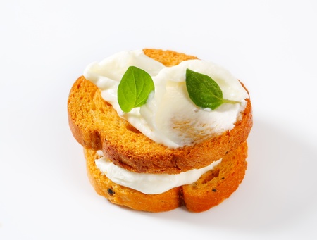 Small round toasts with cheese spreadの写真素材