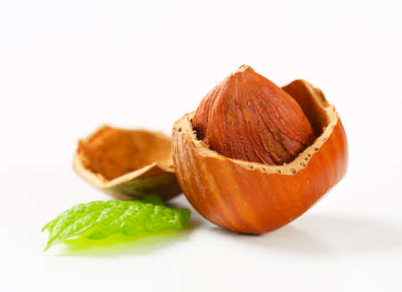 Hazelnut in a cracked nutshell