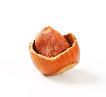 Hazelnut in a cracked nutshellの写真素材
