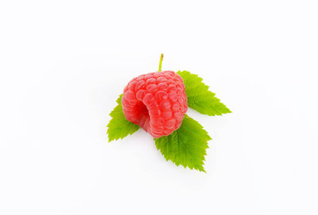 Fresh raspberry with leaves on white backgroundの写真素材