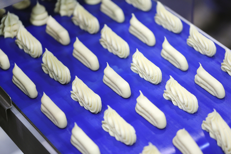 Drop cookies on a confectionery depositor