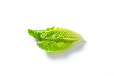 heart of romaine lettuce on white backgroundの写真素材