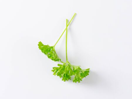 fresh parsley leaves on white background