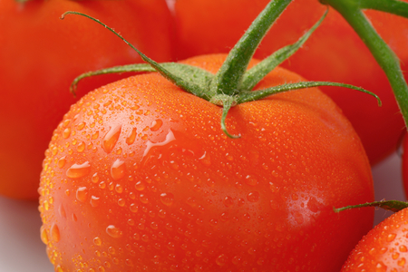 detail of freshly washed tomatoesの写真素材